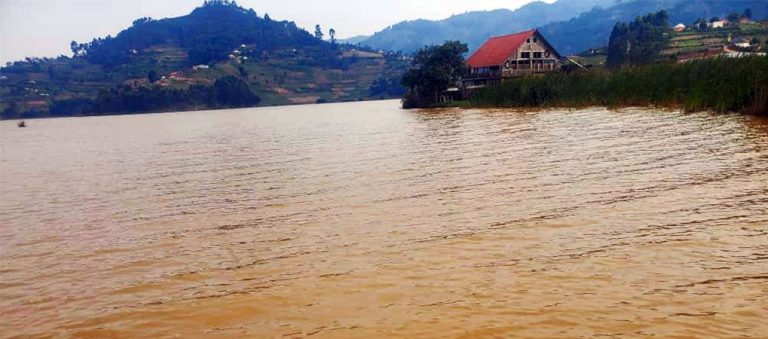 lake bunyonyi waters turn brown